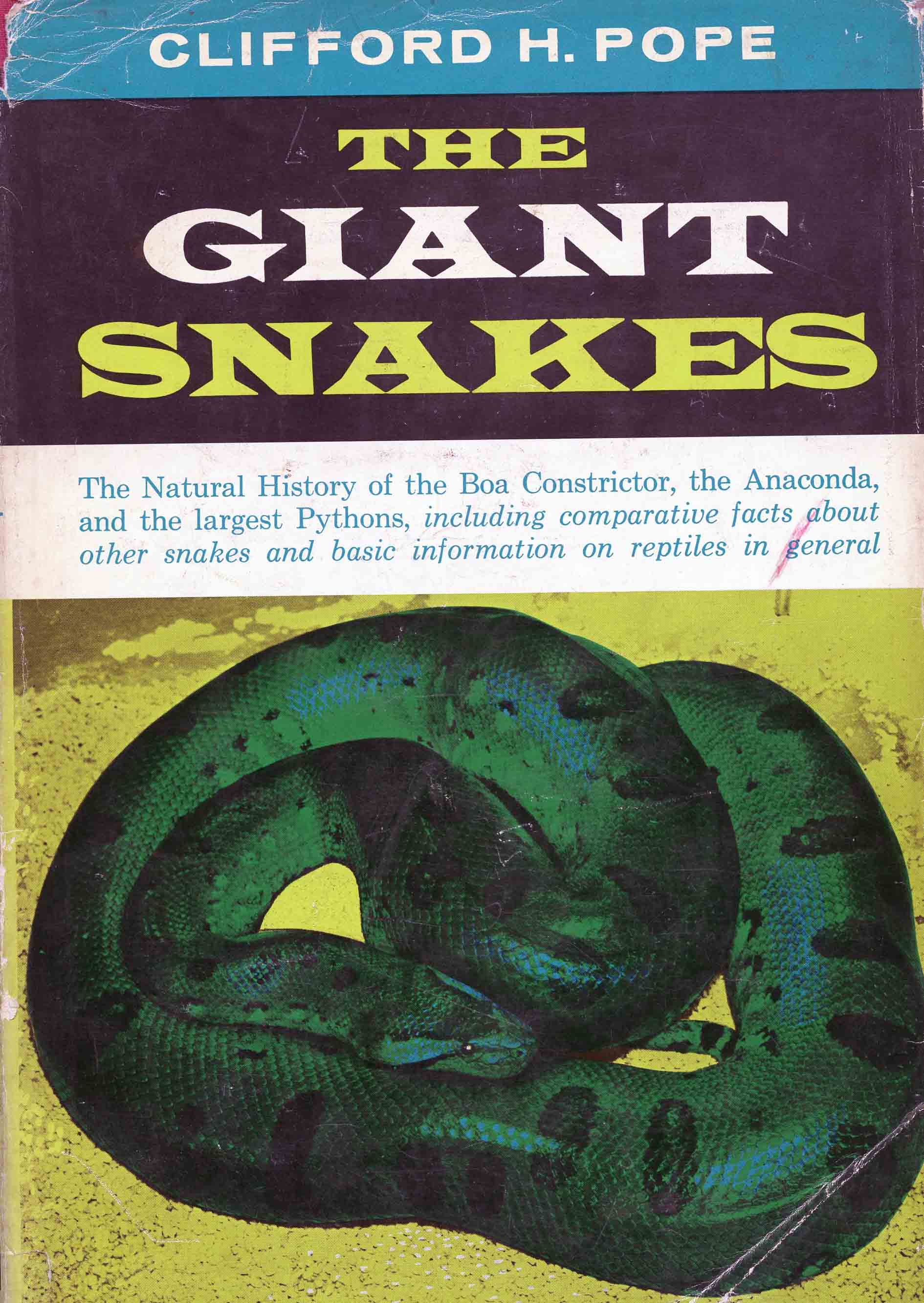 Image for The Giant Snakes,